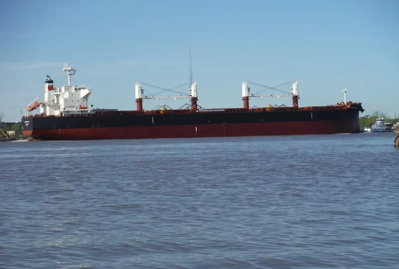 PORT ESTRELA Bulk Carrier IMO 9735098 photo 2