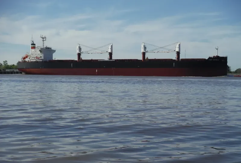 PORT ESTRELA Bulk Carrier IMO 9735098 photo 3