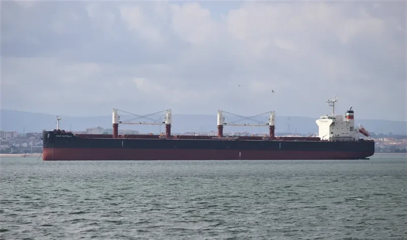 PORT ESTRELA Bulk Carrier IMO 9735098 photo 4