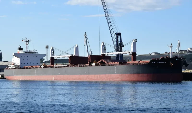 PORT ESTRELA Bulk Carrier IMO 9735098 photo 5