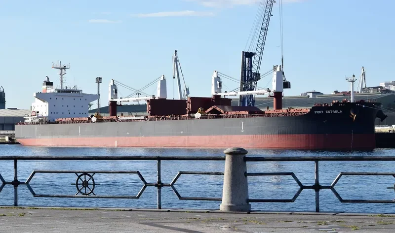 PORT ESTRELA Bulk Carrier IMO 9735098 photo 6