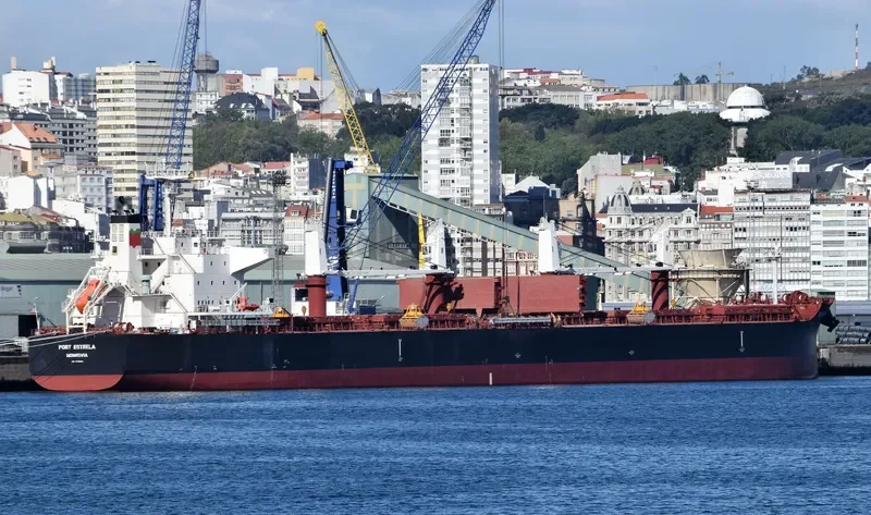 PORT ESTRELA Bulk Carrier IMO 9735098 photo 7