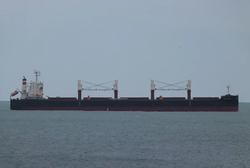 PORT ORIENT Bulk Carrier IMO 9735103 photo 6