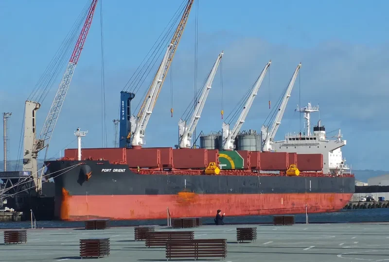 PORT ORIENT Bulk Carrier IMO 9735103 photo 7