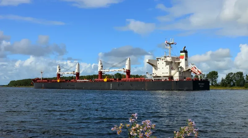 PORT ORIENT Bulk Carrier IMO 9735103 photo 9