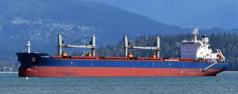 SWANSEA Bulk Carrier IMO 9735115 photo 3