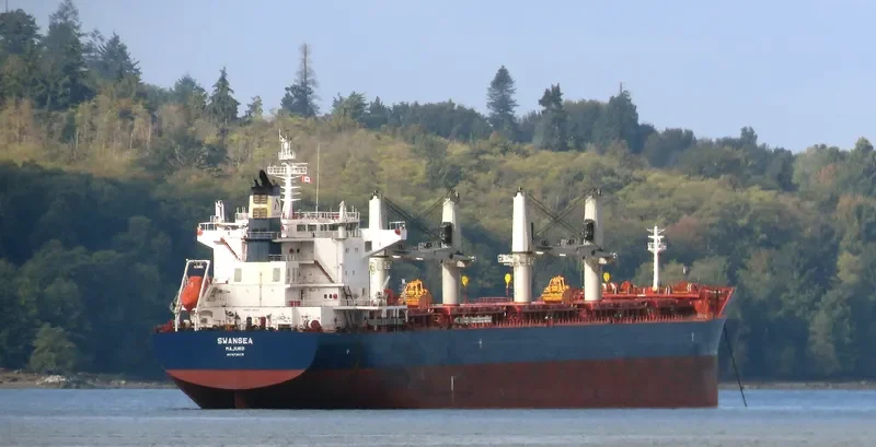 SWANSEA Bulk Carrier IMO 9735115 photo 4