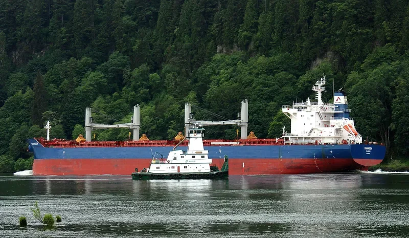 SWANSEA Bulk Carrier IMO 9735115 photo 6