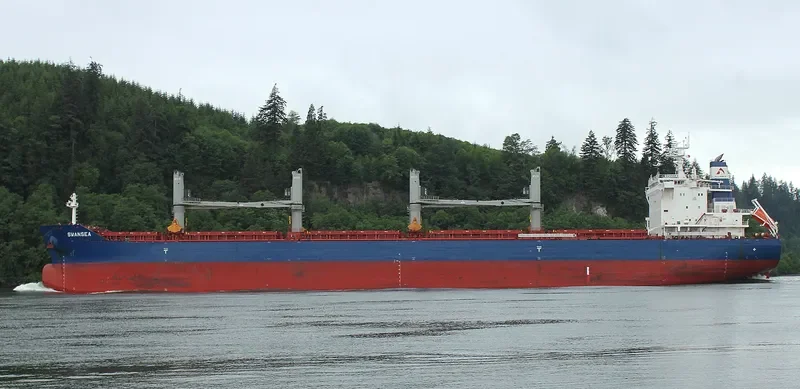 SWANSEA Bulk Carrier IMO 9735115 photo 7