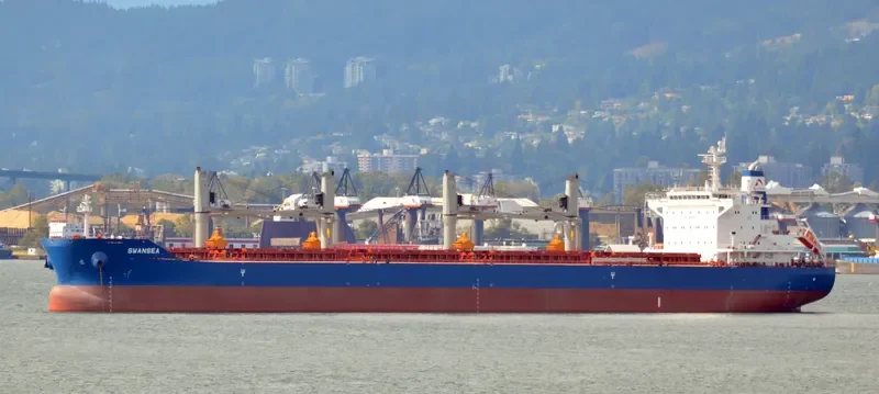 SWANSEA Bulk Carrier IMO 9735115 photo 10