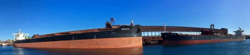 GOLIATH Bulk Carrier IMO 9735153