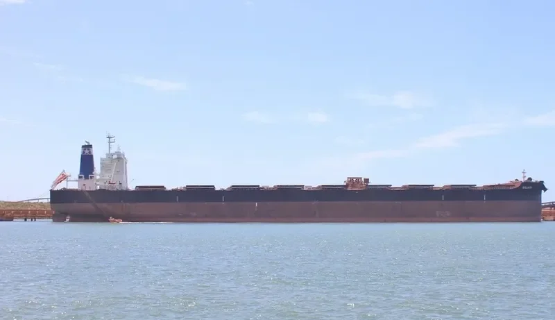 GOLIATH Bulk Carrier IMO 9735153 photo 2
