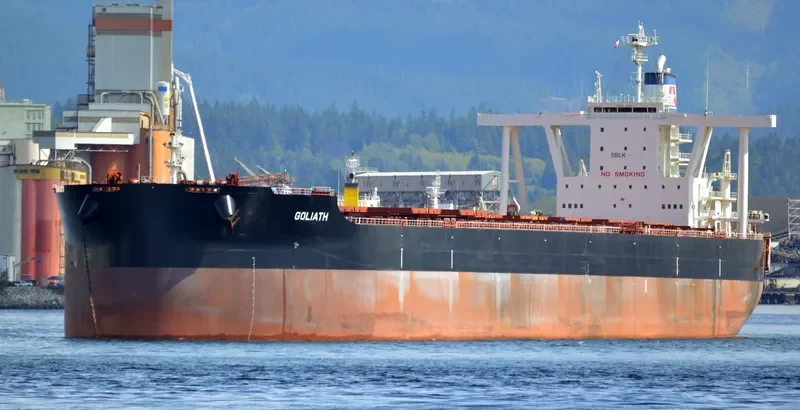 GOLIATH Bulk Carrier IMO 9735153 photo 4