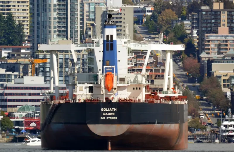 GOLIATH Bulk Carrier IMO 9735153 photo 5