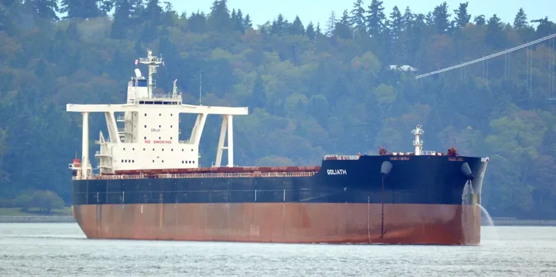 GOLIATH Bulk Carrier IMO 9735153 photo 7