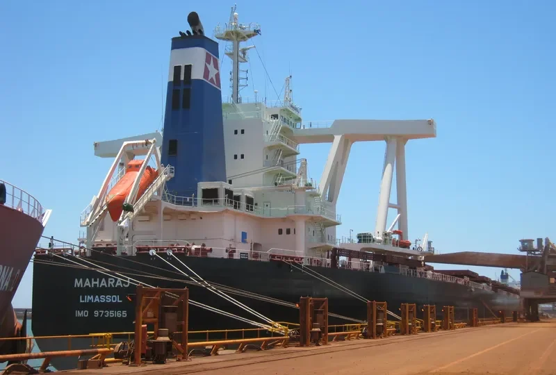 MAHARAJ Bulk Carrier IMO 9735165