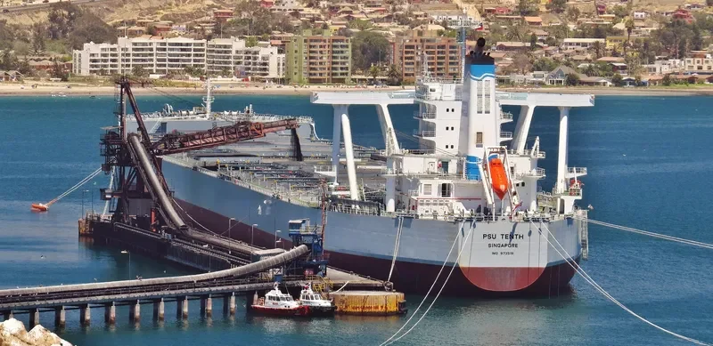 PSU TENTH Bulk Carrier IMO 9735191