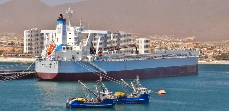 PSU TENTH Bulk Carrier IMO 9735191 photo 2