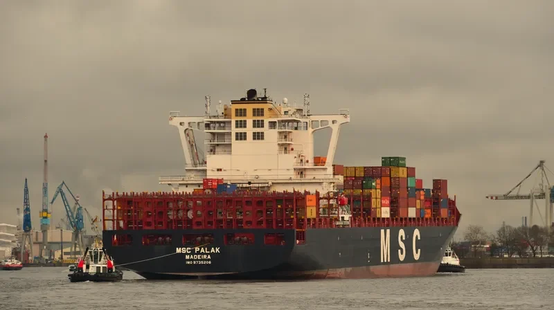MSC PALAK Container Ship IMO 9735206 photo 3