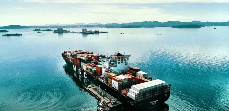 MSC PALAK Container Ship IMO 9735206 photo 6