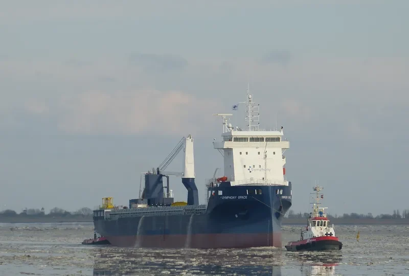 SYMPHONY SPACE General Cargo IMO 9735232 photo 9