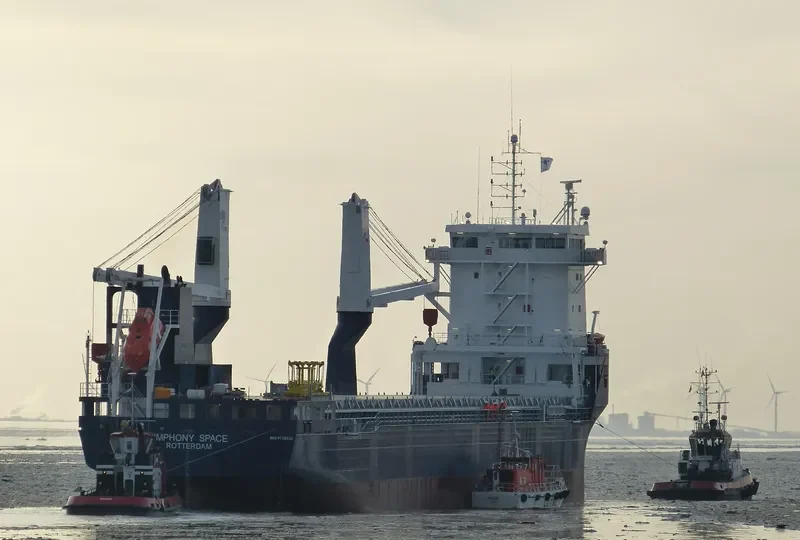 SYMPHONY SPACE General Cargo IMO 9735232 photo 10
