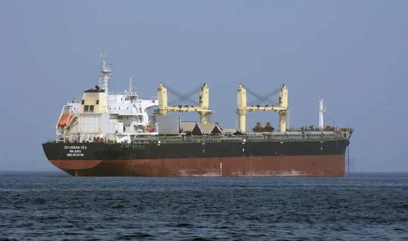 TIAN MU SHAN Bulk Carrier IMO 9735799