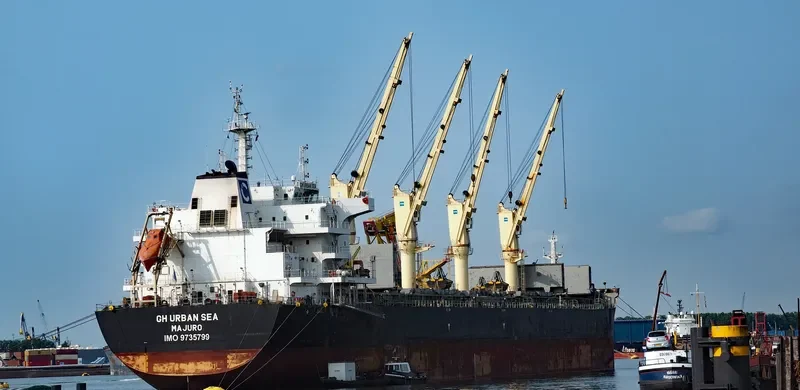 TIAN MU SHAN Bulk Carrier IMO 9735799 photo 2