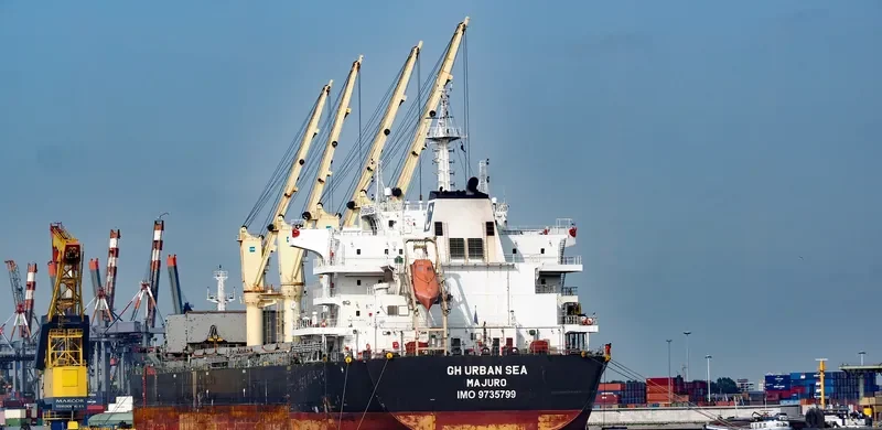 TIAN MU SHAN Bulk Carrier IMO 9735799 photo 3