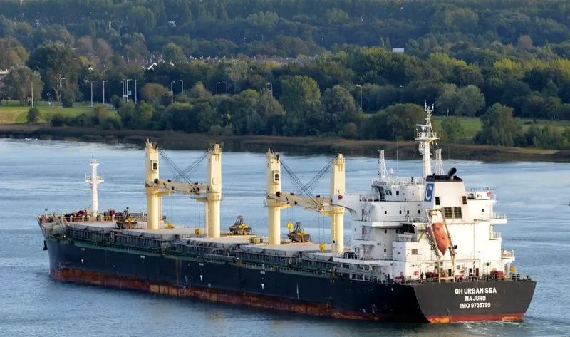 TIAN MU SHAN Bulk Carrier IMO 9735799 photo 4