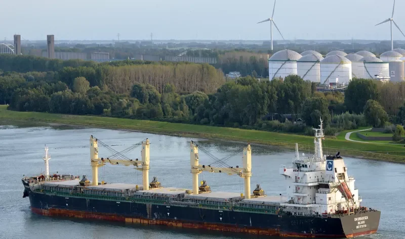 TIAN MU SHAN Bulk Carrier IMO 9735799 photo 5