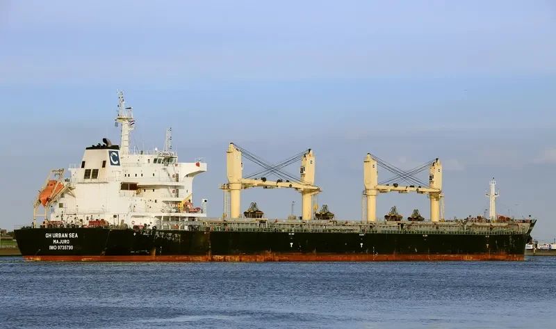 TIAN MU SHAN Bulk Carrier IMO 9735799 photo 6