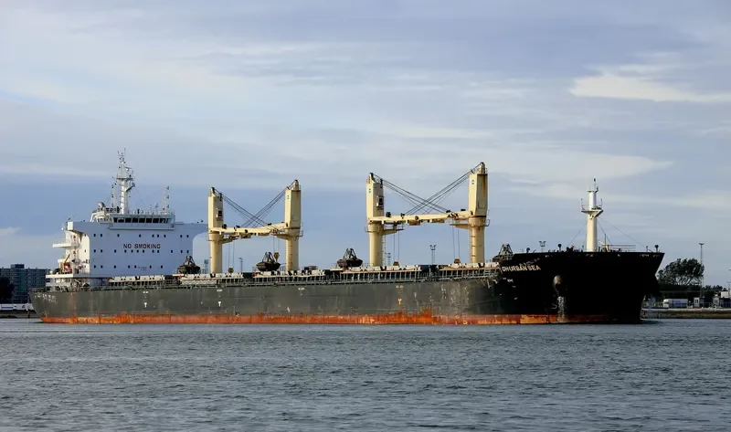 TIAN MU SHAN Bulk Carrier IMO 9735799 photo 7