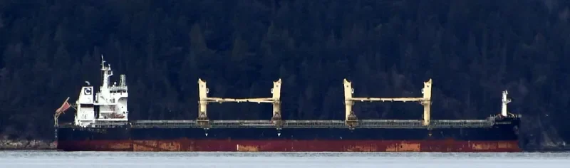 TIAN MU SHAN Bulk Carrier IMO 9735799 photo 8