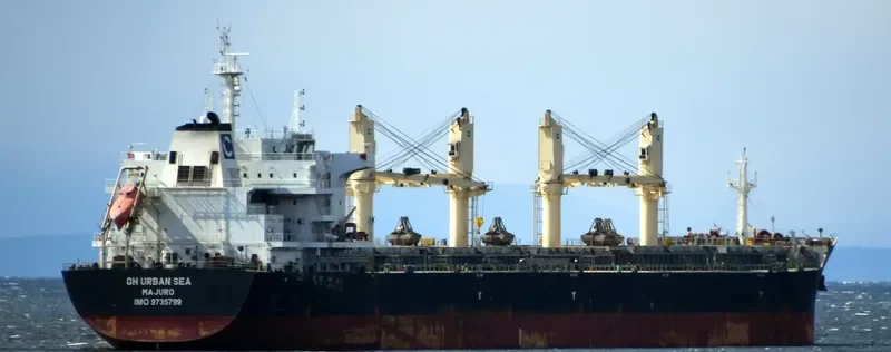 TIAN MU SHAN Bulk Carrier IMO 9735799 photo 9