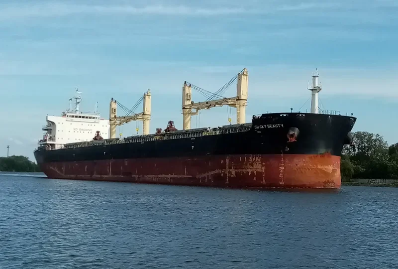 QIAN DAO HU Bulk Carrier IMO 9735816 photo 2