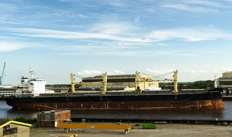 QIAN DAO HU Bulk Carrier IMO 9735816 photo 3