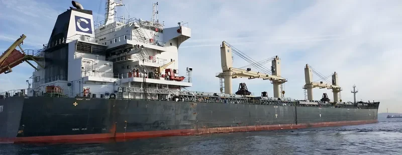QIAN DAO HU Bulk Carrier IMO 9735816 photo 4