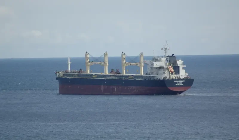 QIAN DAO HU Bulk Carrier IMO 9735816 photo 5