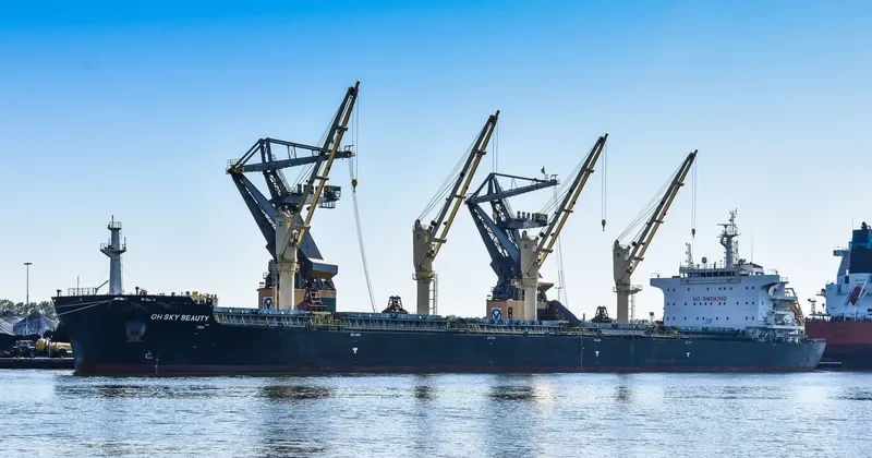 QIAN DAO HU Bulk Carrier IMO 9735816 photo 8