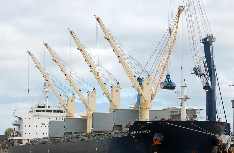 QIAN DAO HU Bulk Carrier IMO 9735816 photo 9