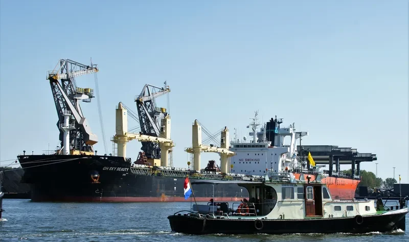 QIAN DAO HU Bulk Carrier IMO 9735816 photo 10