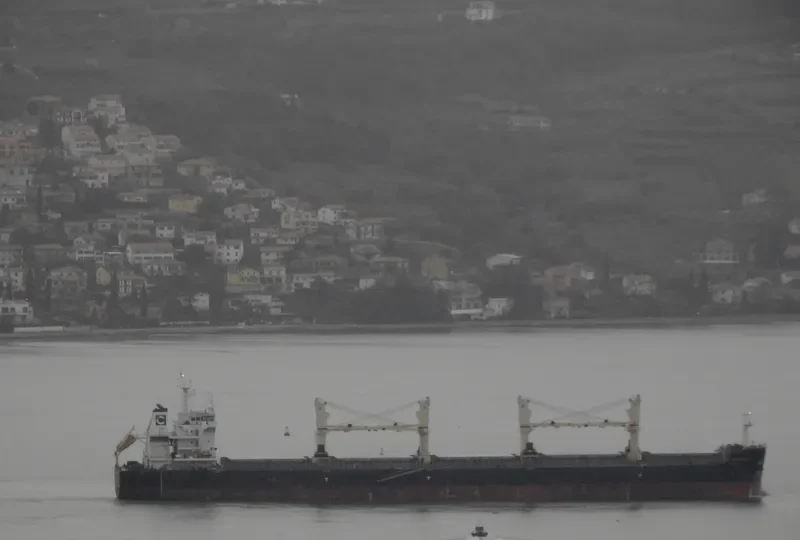 GH GALILEO Bulk Carrier IMO 9735828 photo 3