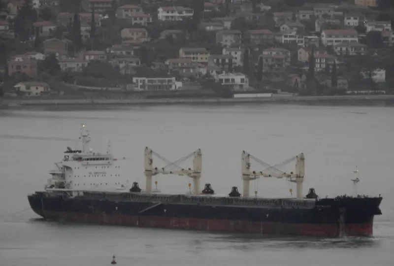 GH GALILEO Bulk Carrier IMO 9735828 photo 4