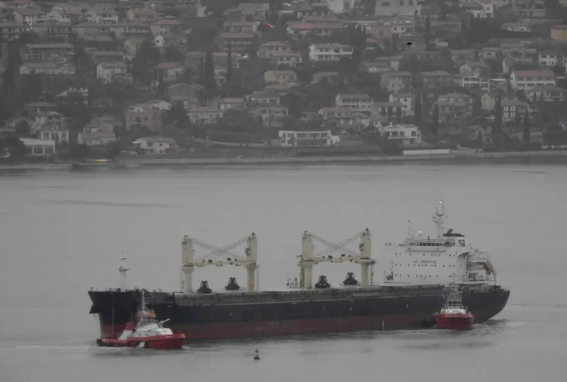 GH GALILEO Bulk Carrier IMO 9735828 photo 6