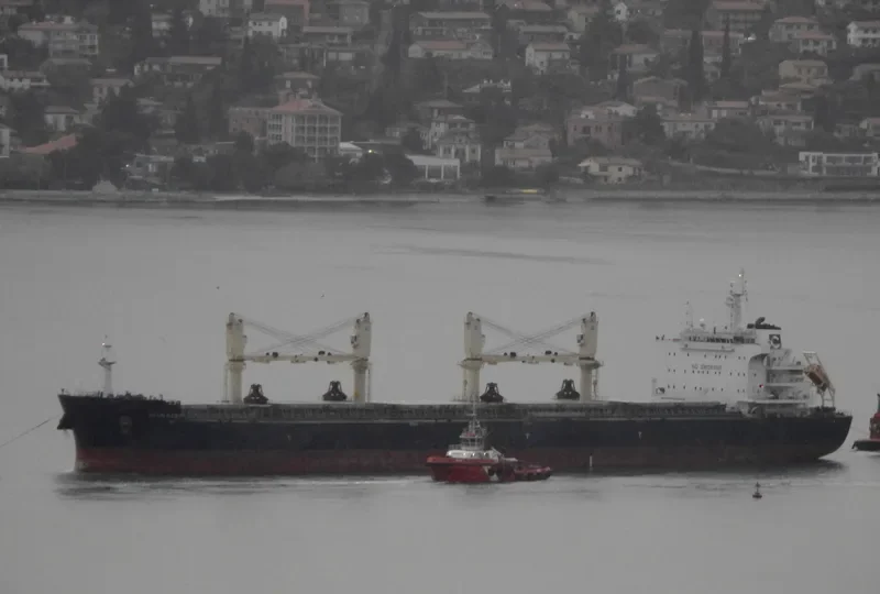 GH GALILEO Bulk Carrier IMO 9735828 photo 7