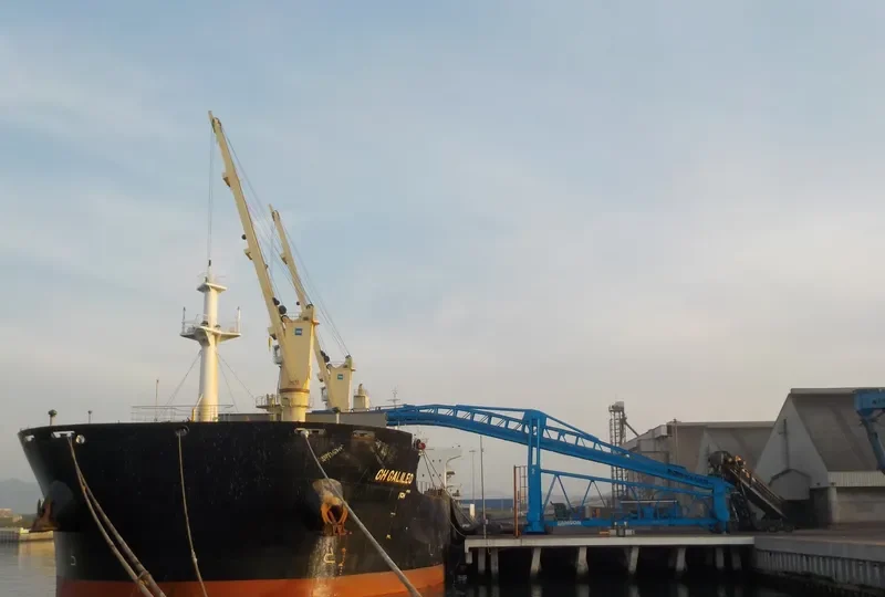 GH GALILEO Bulk Carrier IMO 9735828 photo 9