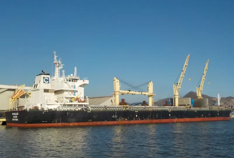 GH GALILEO Bulk Carrier IMO 9735828 photo 10
