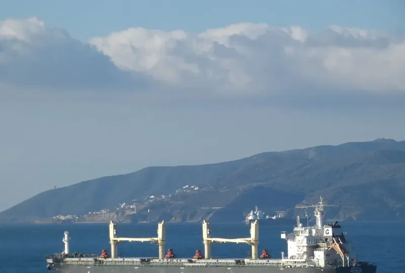 BBG FOREVER Bulk Carrier IMO 9735842 photo 3