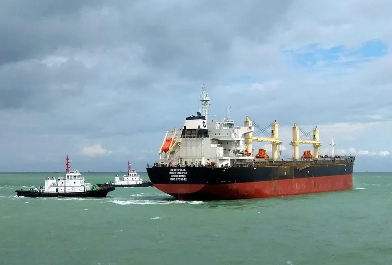 BBG FOREVER Bulk Carrier IMO 9735842 photo 4